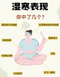 -Fundi张玉珊修身堂·indiba·BTL科技瘦身
