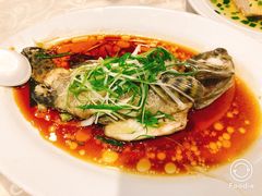 -凤城礼记鱼翅海鲜酒家(新马路总店)