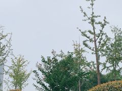 -滨湖塘西河公园
