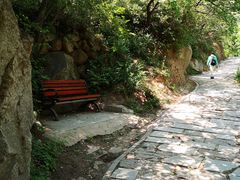 -大岭沟猕猴桃谷风景区