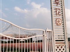 -鹅湖玫瑰文化园
