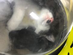 -联合动物医院(光谷诊疗中心)