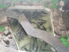 -春盛渔府(牛首山店)