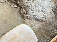 -中国第四纪冰川遗迹陈列馆