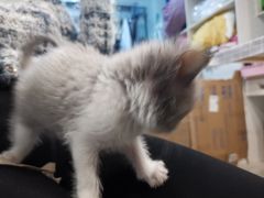 -沪上阿姨·精选茶饮(烟台万达广场店)