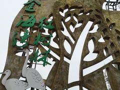 -北海金海湾红树林生态旅游区