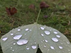 -东莞植物园