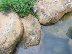 -花果园湿地公园