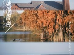 -贡湖湾湿地公园