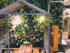景观位-Rainforest