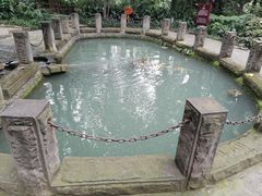 -成都市活水公园