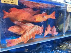 -鹊华居·地道鲁菜·海鲜·融合味(大明湖店)