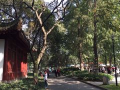 -温江公园