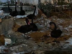 -八景休閒山莊  廣東十大名山莊