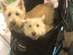 -香港会议展览中心演讲厅