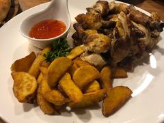 -百好乐宠物友好餐厅(朝外大街店)