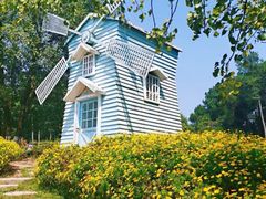 -铁山坪森林公园