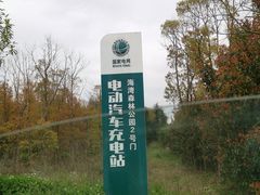 -上海海湾国家森林公园