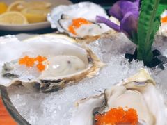 -千岛蚝高压锅生蚝·人参火锅(白云万达店)