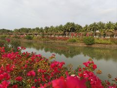-万绿园
