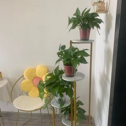 -凡碧诗毛孔收细