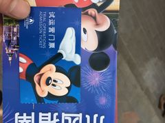 上海迪士尼乐园-上海迪士尼度假区