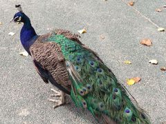 -新疆天山野生动物园