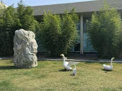 -西安国际创新人才交流中心•药浴温泉