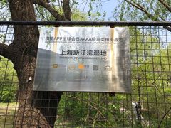 -新江湾城公园