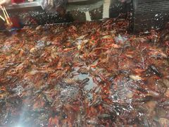 -盒马鲜生(莱蒙都会店)