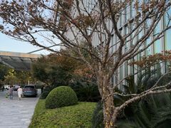-上海静安香格里拉大酒店
