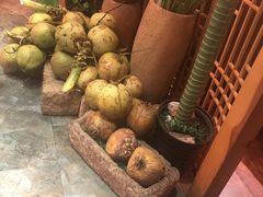 -探窝·竹笙椰子鸡(杨箕店)