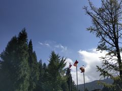 -武陵山森林公园