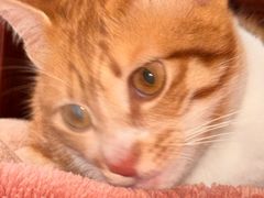 -红星光发煲仔饭(文海店)