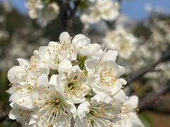 -梁鸿国家湿地公园