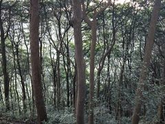 -西湖风景区十里琅珰-五云山