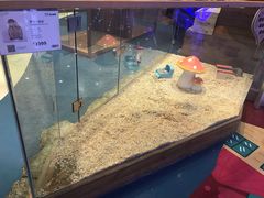 -龟与熊猫宠物公园(南坪店)