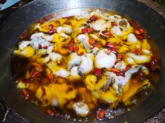 -雲蜀龙阁·金牌水煮鱼(方庄店)