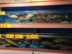 水产区-皮记海鲜1995(寮步店)