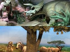 -国家自然博物馆