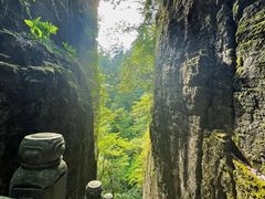 -东天目山风景区