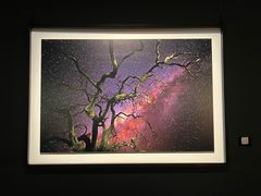 -罗红摄影艺术馆