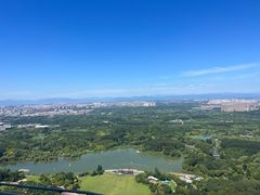 -奥塔空中餐厅