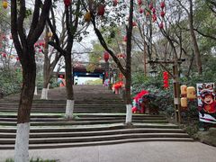 -天目湖山水园