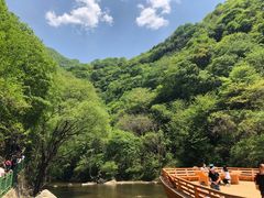 -少华山国家森林公园