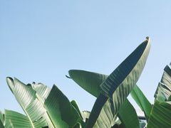 -琅岐红光湖公园