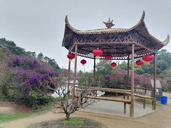 -南国桃园旅游度假区