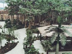 -沈阳龙润夏宫温泉水乐园