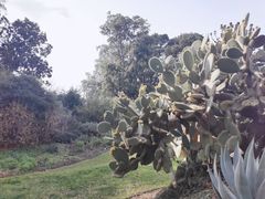 -墨尔本皇家植物园