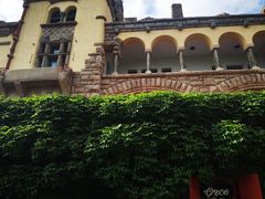 -青岛德国总督楼旧址博物馆